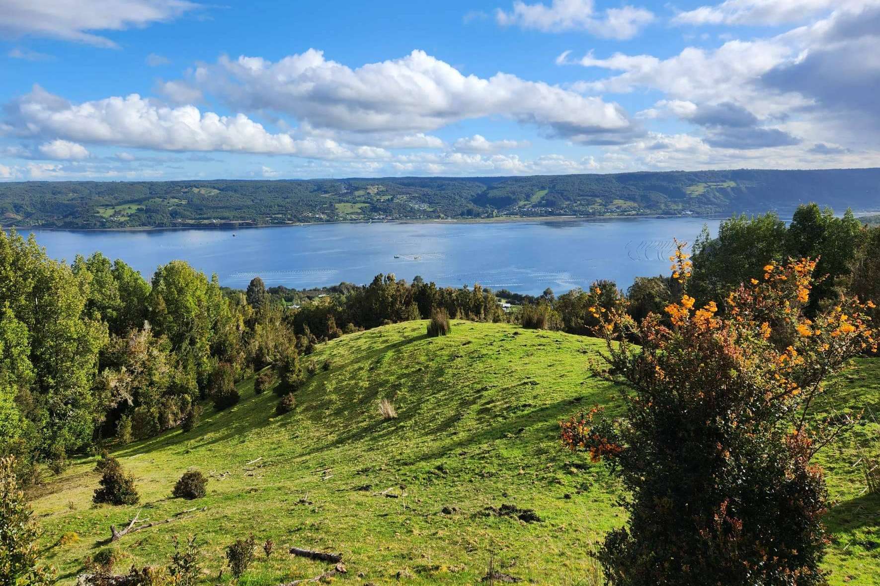 El proyecto de Latitudes Australes para invertir en una parcela y descubrir la belleza de Chiloé es Azul Canelo